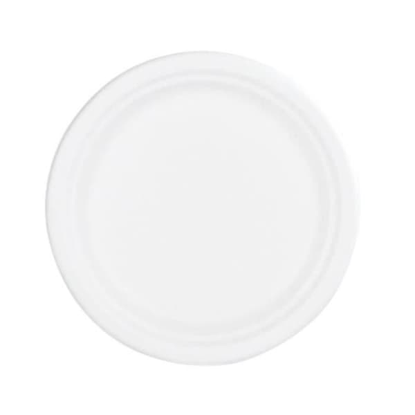50 Tallrikar i Sockerör - Vit - 22 cm