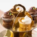 Miniatyrbillede 9 af 9: Snack bakke Algon 30 cm (24 enheder)