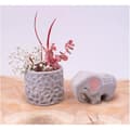 Miniatyrbild 5 av 6: Jovi Air Dry Modeling Clay Grey 22 lb fläckfritt perfekt för konst- och hantverksprojekt