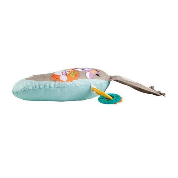 Fisher-Price - My Musical Awakening Cushing - Early Learning Toy - Från födseln GRR01