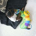 Miniatyrbild 9 av 9: Multisensorisk aktivitetskudde för lek i magen - BABY EINSTEIN - Cal-a-Pillow - Barn 0 månader och uppåt
