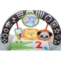 Miniatyrbild 2 av 4: Babygym djur - Märke - 84 cm - Blandat - Födelse till 12 månader - Plysch
