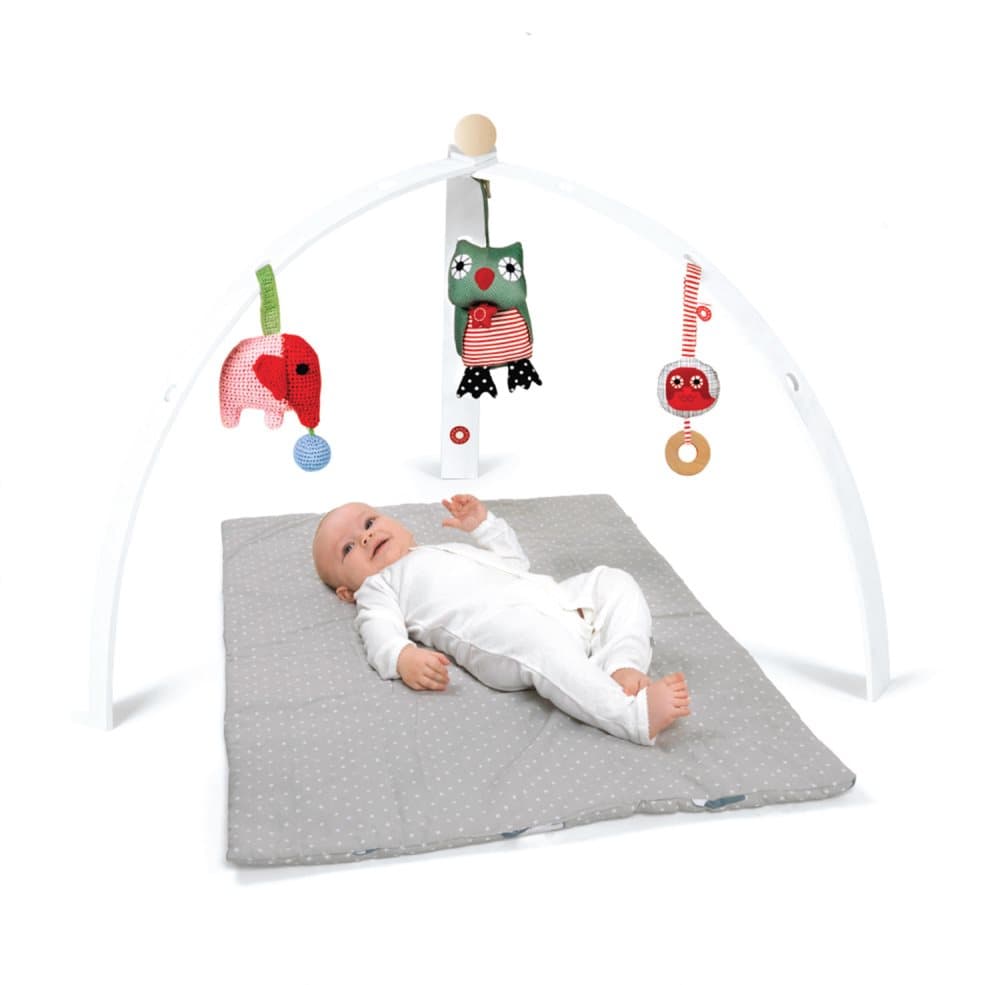 BabySpyder gym vit