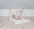 Miniatyrbillede 2 af 3: Babygym trä natur, Jabadabado