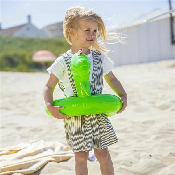 Badering Swim Essentials Dinosaur
