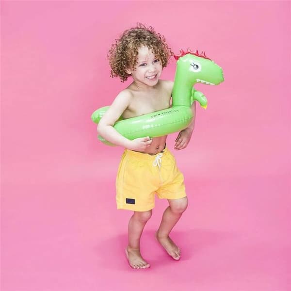 Badering Swim Essentials Dinosaur