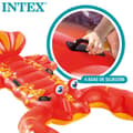 Pikkukuva 5 / 8: Puhallettava allaspatsas Intex Hummeri 137 x 50 x 213 cm (6 osaa)