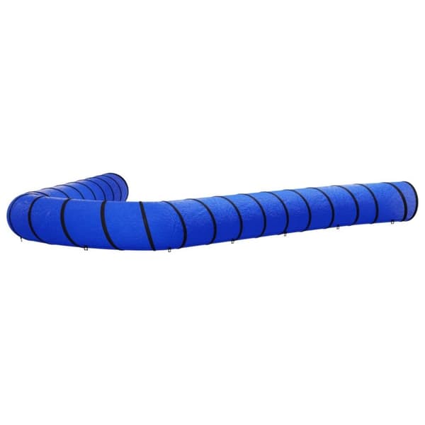 vidaXL Koiratunneli sininen Ø 55x1000 cm polyesteri