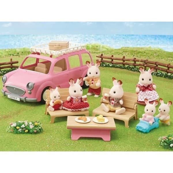 Den rosa minibussen och picknicksetet