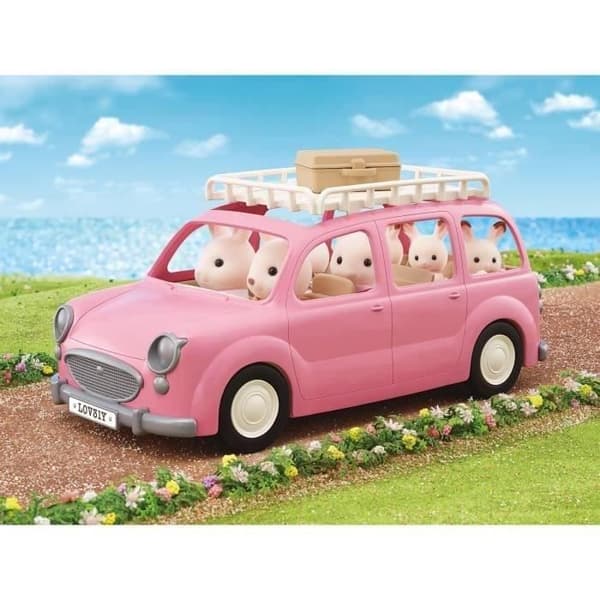 Den rosa minibussen och picknicksetet
