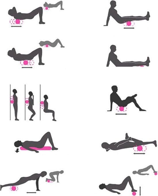 Grid Foam Roller - 30x10 Centimeter - Massage Roller - Triggerpoint Massage - Foamrollers - Yoga - Pilates - Fitness - Purple