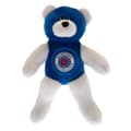 Miniatyrbilde 1 av 3: Rangers FC Mini Teddy Bear