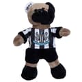 Miniatyrbillede 1 af 4: Newcastle United FC Super Fan Bear Plush Toy