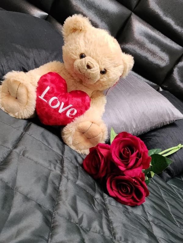 Stor Gosedjur . Hjärta m Broderad Love! Alla hjärtans dag