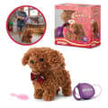 Miniatyrbillede 4 af 5: Animigos Curly Cockapoo