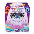 Miniatyrbild 1 av 5: Hatchimals Alive Secret Hatch Draggle
