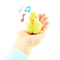 Miniatyrbild 2 av 2: Pipande Kyckling