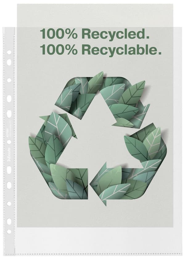 Plastficka ESSELTE rec A4 Maxi 100/fp