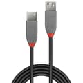 Miniatyrbild 2 av 2: LINDY USB 2.0 förlängningskabel typ A - Anthra Line - 5m