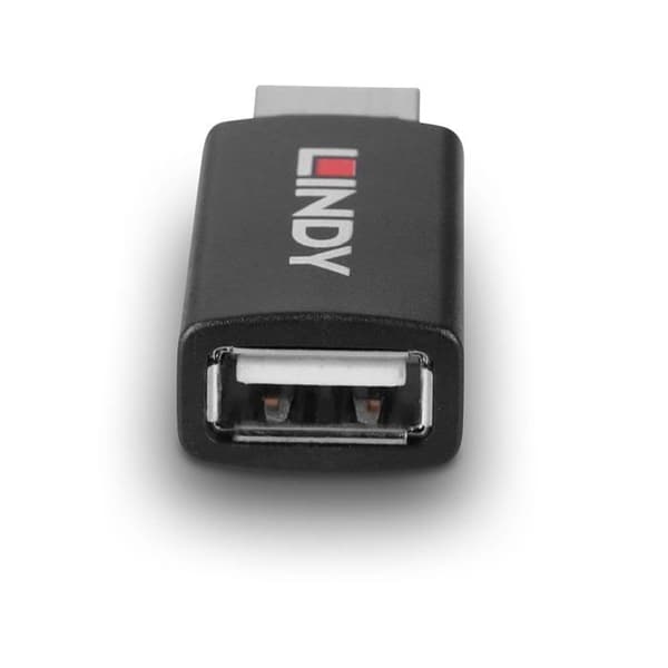 Anslutningskabel för Lindy USB 2.0 Typ A till A dataskåp med batteriladdning 1.2