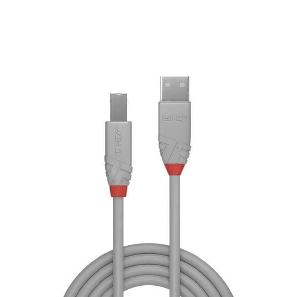 Lindy 36683 USB-kabel - 2 m - USB A till USB B - 2.0 - 480 Mbit/s - Grå
