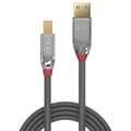Miniatyrbild 2 av 2: Lindy 36661, 1 m, USB A, USB B, 3.0 (3.1 Gen 1), 5000 Mbit-s, Chrome, Grå