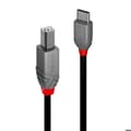 Miniatyrbild 1 av 3: USB 2.0 Typ C till B-kabel - Lindy - 1m - Svart - PVC - Nickelbelagda kontakter