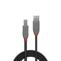 Miniatyrbild 2 av 2: Lindy 36675, 5 m, USB A, USB B, 2.0, 480 Mbit-s, svart