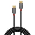 Miniatyrbild 2 av 2: LINDY USB 2.0 Typ C-kabel - Anthra Line - 0,5m