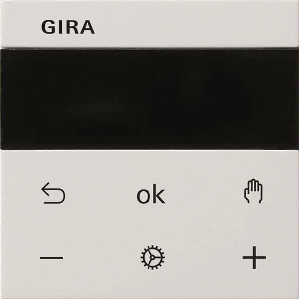 Gira RTR display rws 539303 (539303)