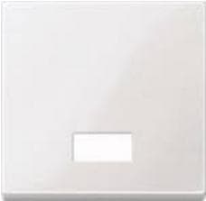 MERTEN vippe med symbolvindue rektangulær 432819 System M polar hvid blank 432819 432819 (432819)