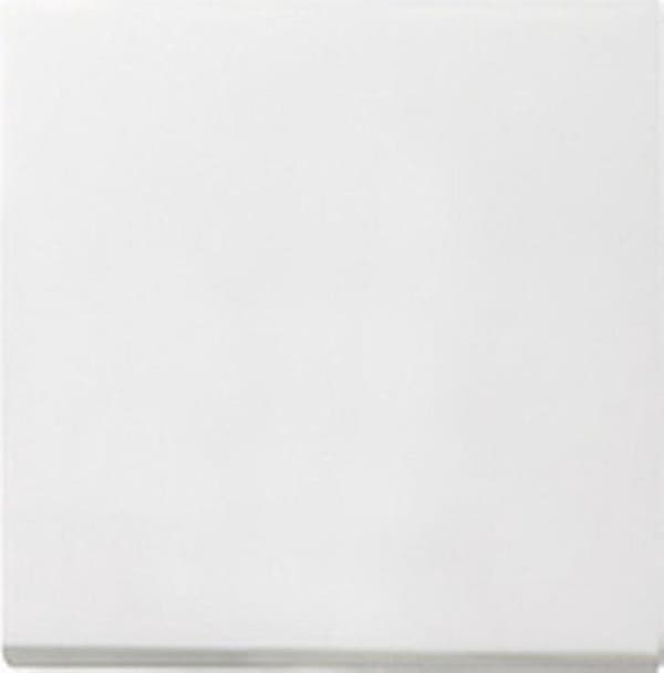 Gira vippe flad pl unv wiss zwm 55