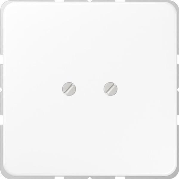Blankt cover Jung CD561BWW 1-vejs Cover Alpine hvid