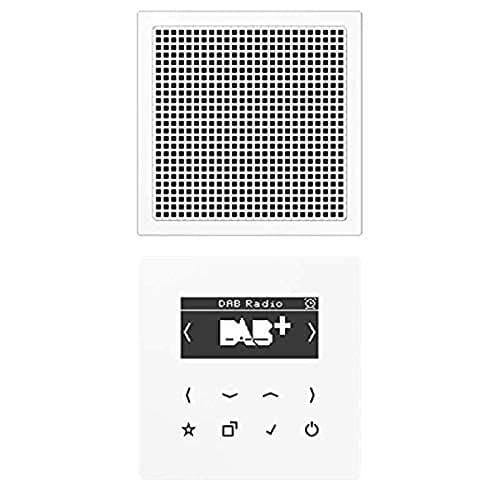 Jung DABLS1WW Smart Radio DAB+Set Mono (DABLS1WW)