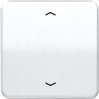 Jung CD 590 P WW (CD590PWW)