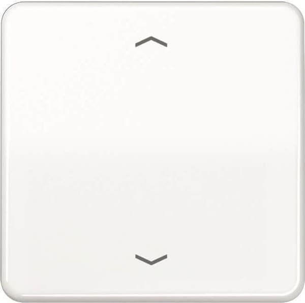 CD 1700 P WW kontrollknapp standardsymboler pilar (CD1700PWW)