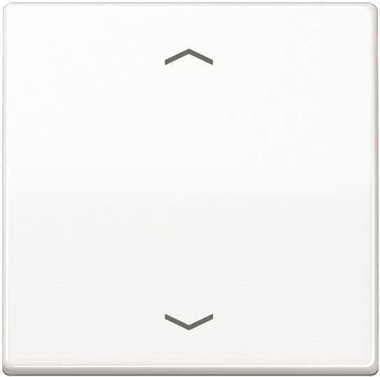 AS 1700 P WW kontrollknapp standardsymboler pilar (AS1700PWW)