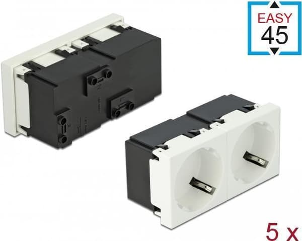 Delock Easy 45 - stikdåsemekanisme - 2P - type F - med lås - 2 stikkontakter - 16 A - vekselstrøm 250 V - hvid, RAL 9003 Hvid