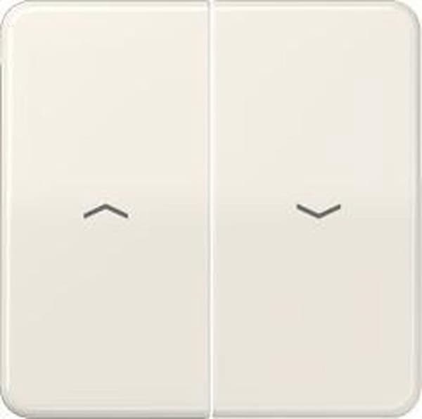 JUNG CD500 kontrolelement/centralplade plast