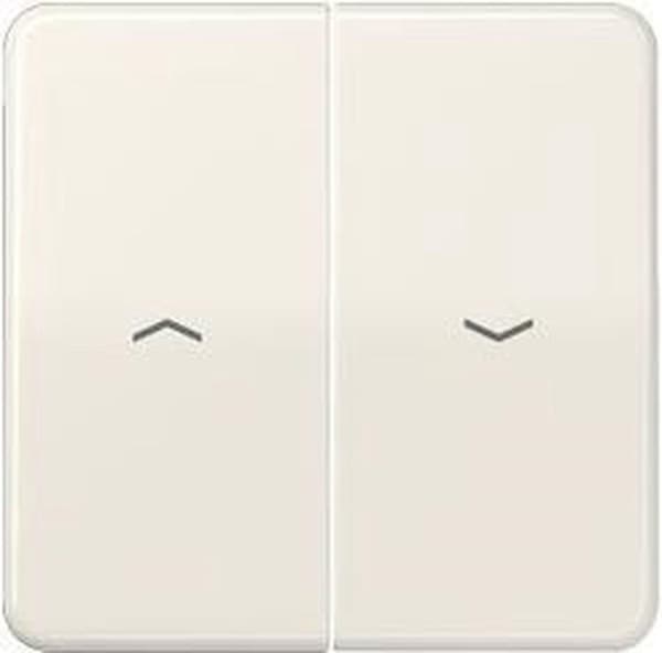 JUNG CD500 kontrolelement/centralplade plast