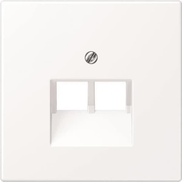 Jung-cover til IAE/UAE-tilslutning LS969-2UAWWM (LS969-2UAWWM)