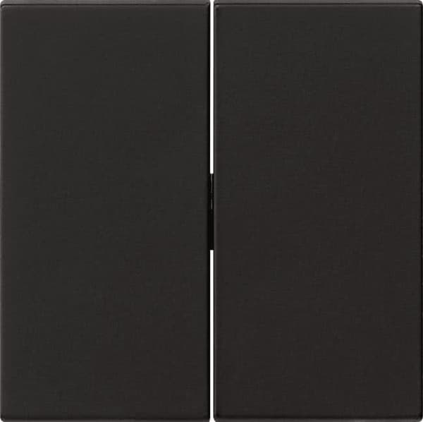 GIRA 0295005 0295005 rocker 2f system 55 black m (295005)