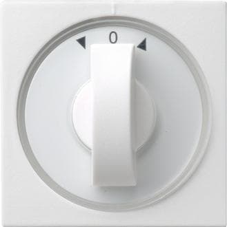 GIRA 066603. Farve på produkt: Hvid, Mærkekompatibilitet: GIRA (066603)