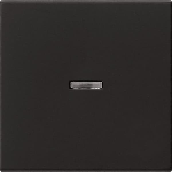 GIRA 0290005 0290005 vippestyring f. System 55 (290005)