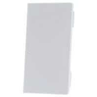 Endestykke LF6011069016 60x110mm trafik hvid (LF6011069016)