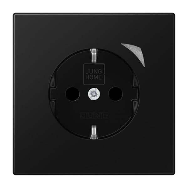 Jung HOME SCHUKO BTLS1521SSWM sokkel 1 (BTLS1521SSWM)