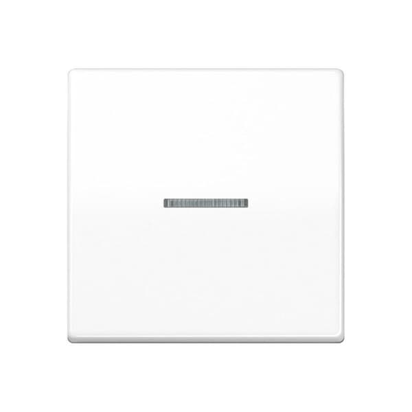 Jung HOME -painike 1-kertainen BTAS17101WW 1 (BTAS17101WW)