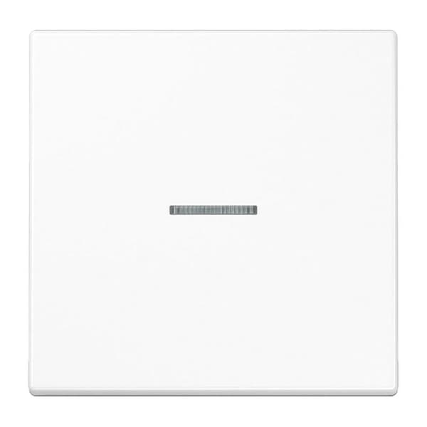 Jung HOME -painike 1-kertainen BTLS17101WW 1 (BTLS17101WW)