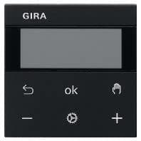 Gira RTR -näyttö sw 5393005 (5393005)