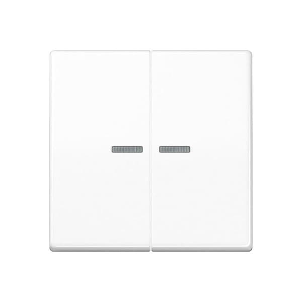 Jung HOME-knap 2-fold BTAS17102WW 1 (BTAS17102WW)